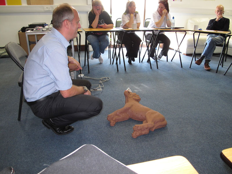 Canine First Aid Level 2 (VTQ) Course